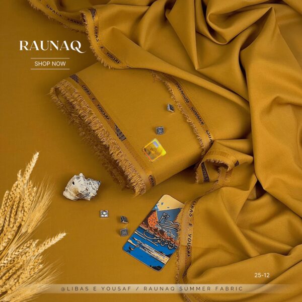 IMG-20250109-WA0070 RAUNAQ by Libas-E-Yousaf