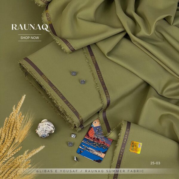 IMG-20250109-WA0073 RAUNAQ by Libas-E-Yousaf