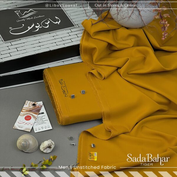 IMG-20250121-WA0022 Sada Bahar by Libas-E-Yousaf