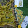 LAAJ 2025 : LAWN 3PCS