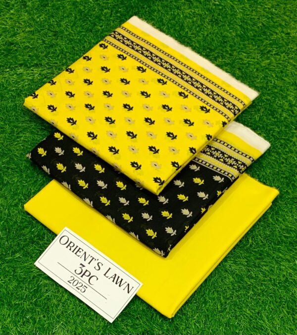 IMG-20250207-WA0051 ORIENT π― Original *Printed 3pcs Collection