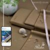 Premium Plus Soft Cotton by Pasha