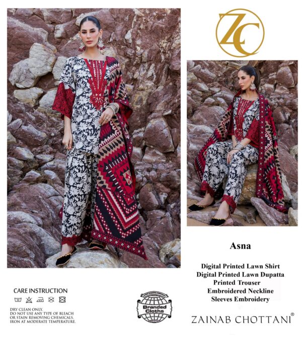 IMG-20250220-WA0014 Kinara By Zainab Chottani - 3PCS