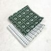 Orient Original Printed Lawn 2-Pcs Collection – Independence Day Edition LN-1017