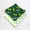Orient Original Printed Lawn 2-Pcs Collection – Independence Day Edition LN-1017